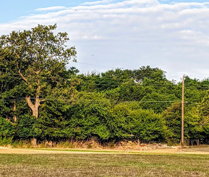 Cove RV Park Picture 3