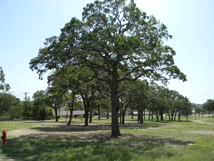 Cove RV Park Picture 7