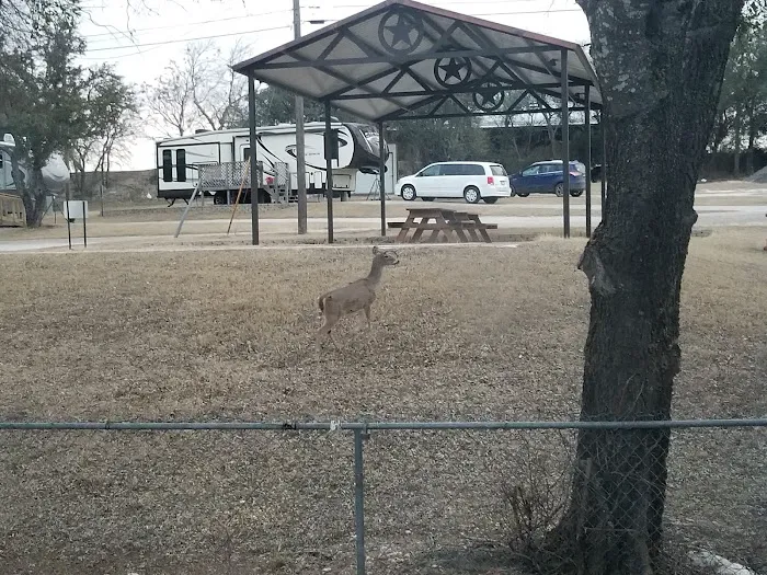 Cove RV Park Picture 1