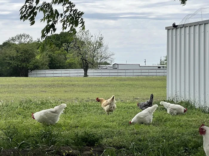 Joy RV Resort Picture 10