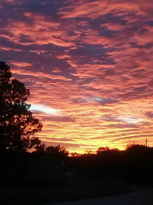 Cheyenne Mountian Estates Picture 2