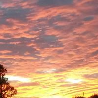 Cheyenne Mountian Estates ico