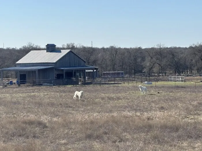 Hidden Elm Farm & RV Park Picture 8