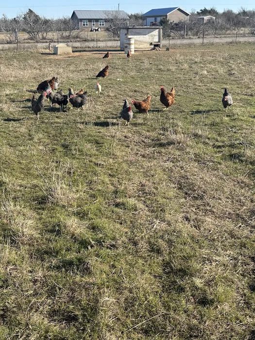 Hidden Elm Farm & RV Park Picture 10