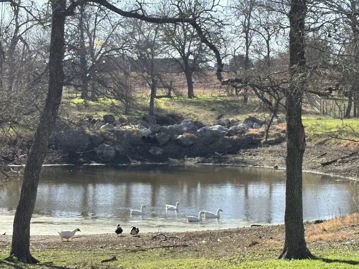 Hidden Elm Farm & RV Park Picture 7