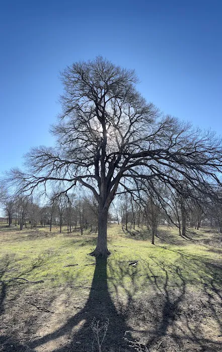 Hidden Elm Farm & RV Park Picture 5