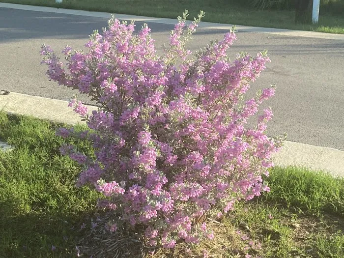 Hope Hill RV Park Picture 10