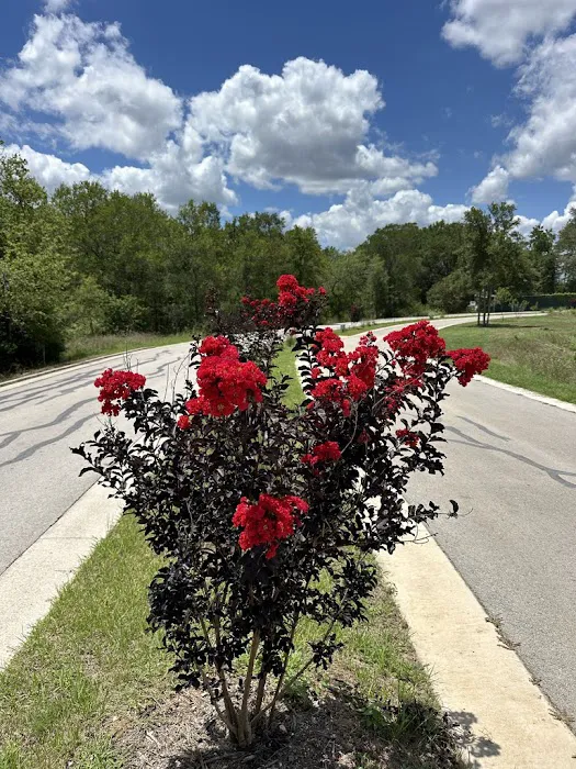 Hope Hill RV Park Picture 1