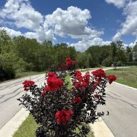 Hope Hill RV Park ico