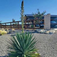 YELLOWROSE RV RESORT ico