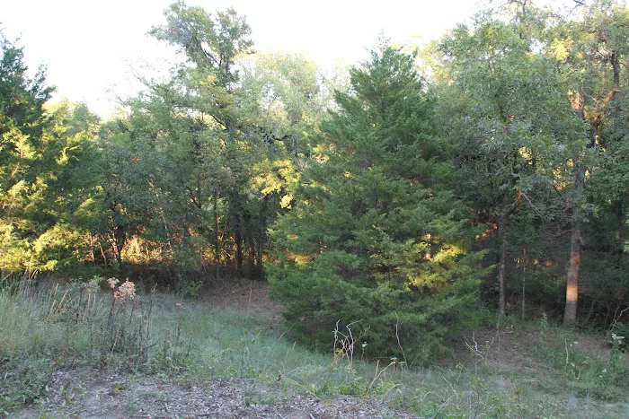 Barton Cottages Tiny Homes Picture 2