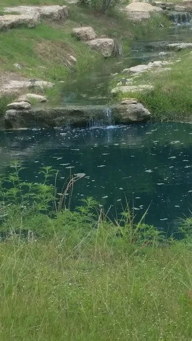 Grays Resort Picture 2