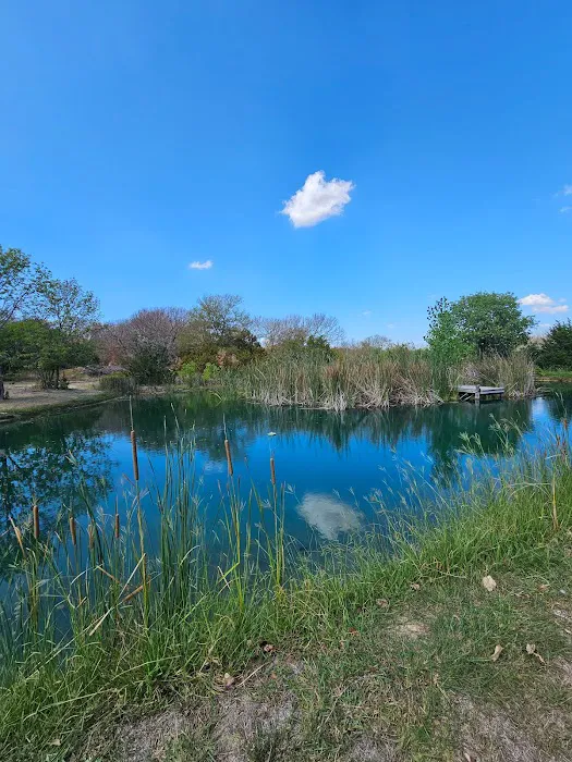 Grays Resort Picture 4