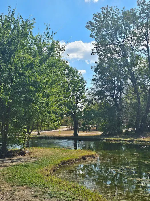 Grays Resort Picture 8