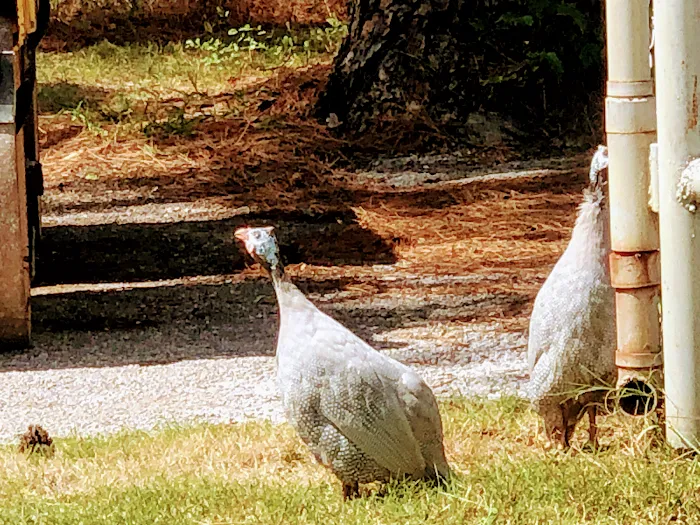 Camp 10625 R.V. Park Picture 7