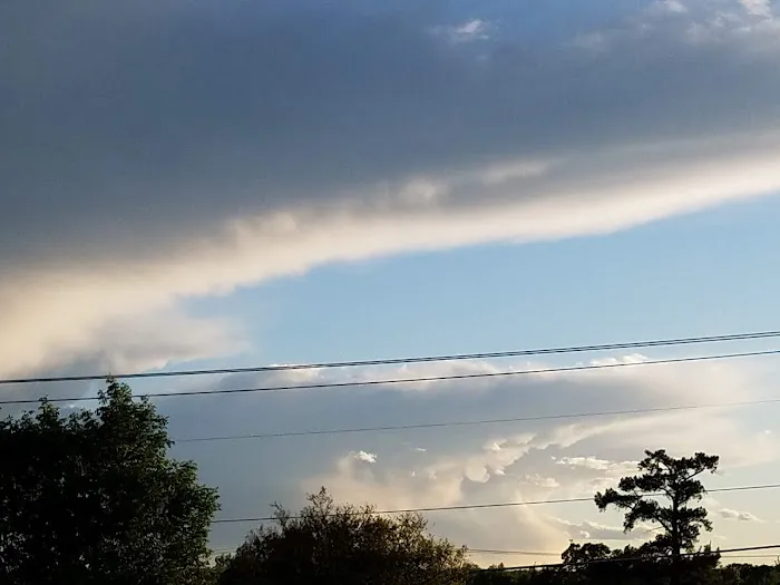 Shady Hill RV Park Picture 3