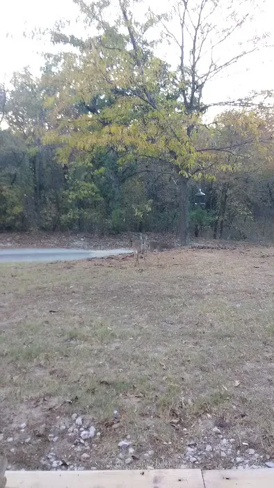 Shady Hill RV Park Picture 2