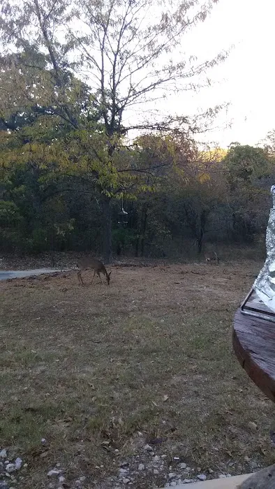 Shady Hill RV Park Picture 1