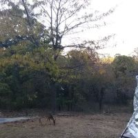 Shady Hill RV Park ico