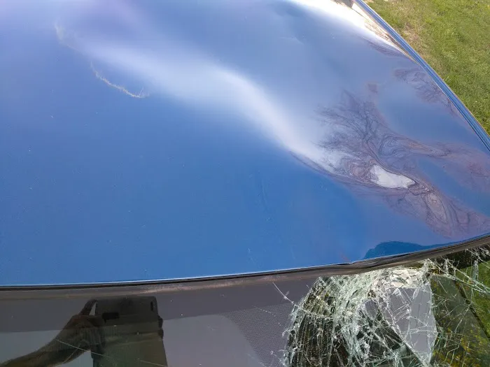 Shady Hill RV Park Picture 8