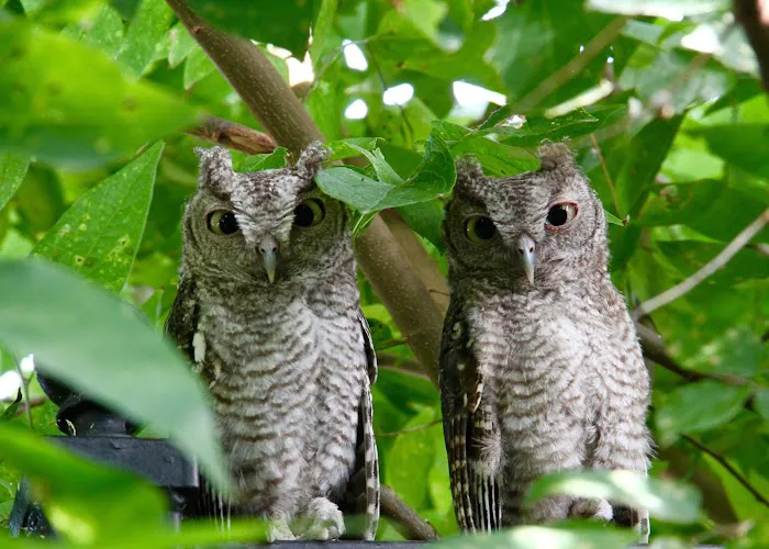 Silver Creek RV Park Picture 7