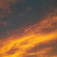 Country Acres Mobile Home Park ico