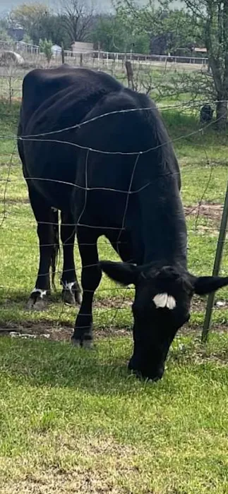 Open Country RV Park Picture 8