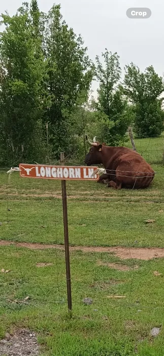 Open Country RV Park Picture 10