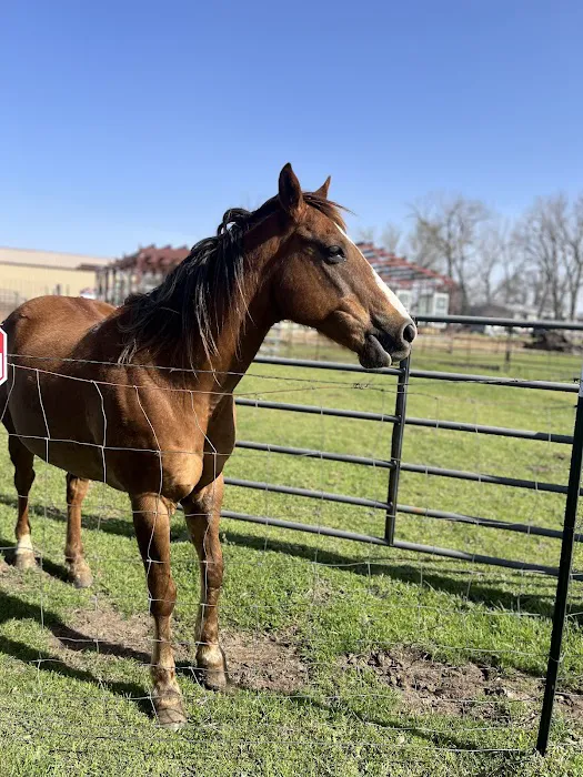 Open Country RV Park Picture 7