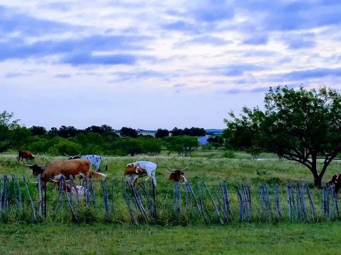 Post Oak Place Picture 1