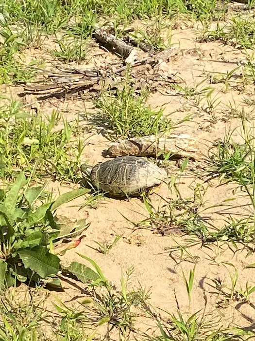 724 RV Park Picture 8