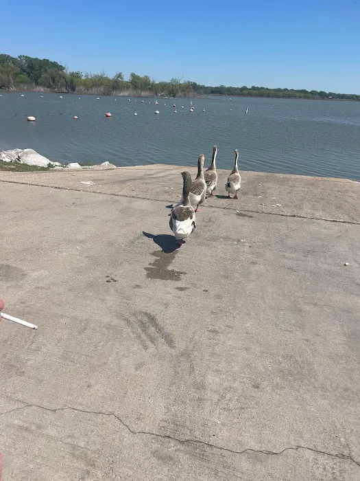 Hideaway 23 Lakefront RV & Cabins Picture 7