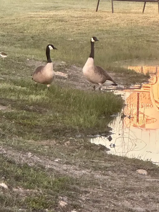 Granbury RV Park Picture 9