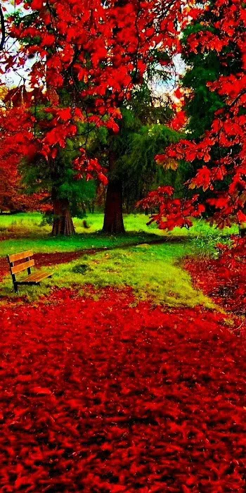 Westwood RV Park Picture 5