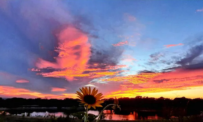 Westwood RV Park Picture 2