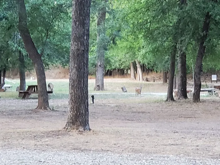 Gypsy Moon Hideaway - RV Park & Campground Picture 1