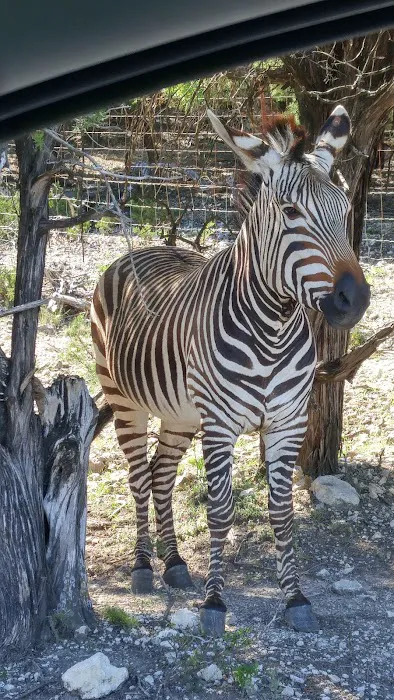 Country Meadows Picture 2