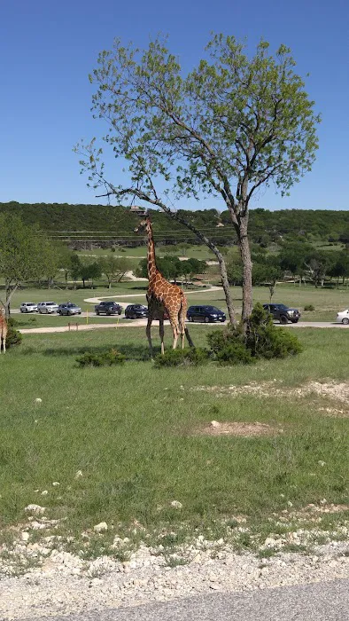 Country Meadows Picture 4