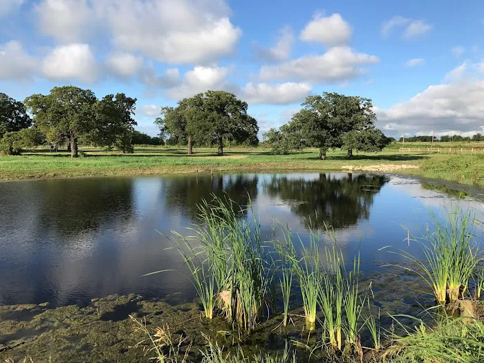 OUT IN THE COUNTRY RV PARK Picture 7