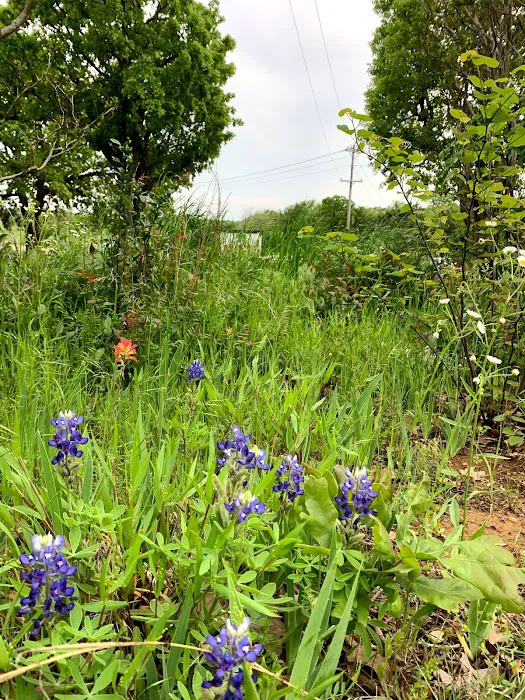 Mt. Springs RV Park Picture 7