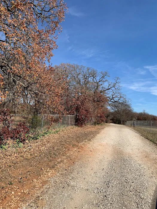 Mt. Springs RV Park Picture 4