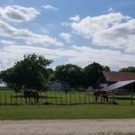 Lone Oak RV Park and Storage