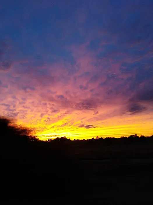 Lone Oak RV Park and Storage Picture 4