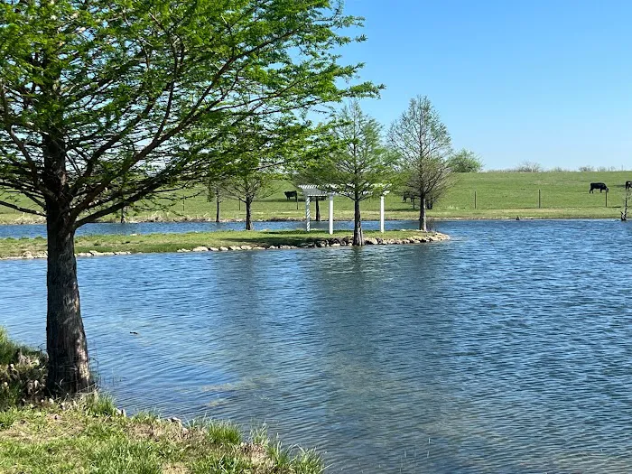 LoneStar Station RV Ranch & Studios Picture 1