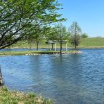 LoneStar Station RV Ranch & Studios