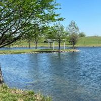 LoneStar Station RV Ranch & Studios ico