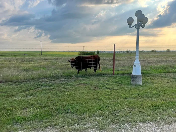 LoneStar Station RV Ranch & Studios Picture 10