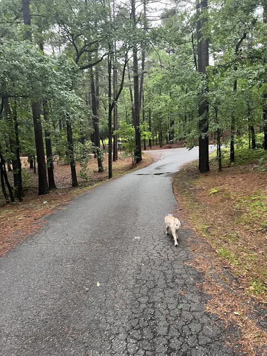 Burns Park RV Park and Campground Picture 4