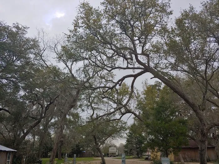 Alexsandra ( RV Park ) Picture 3