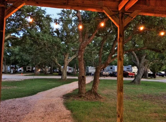 Live Oak RV Park Picture 2